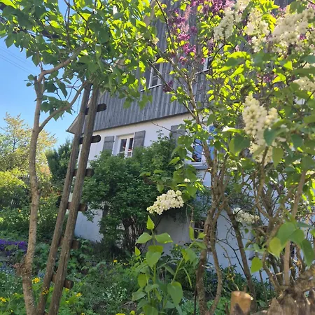 Maison Fuchs - Fantastisches Ehemaliges Mit Garten, Wifi Und Bbq Ferienhaus Sonnenbühl